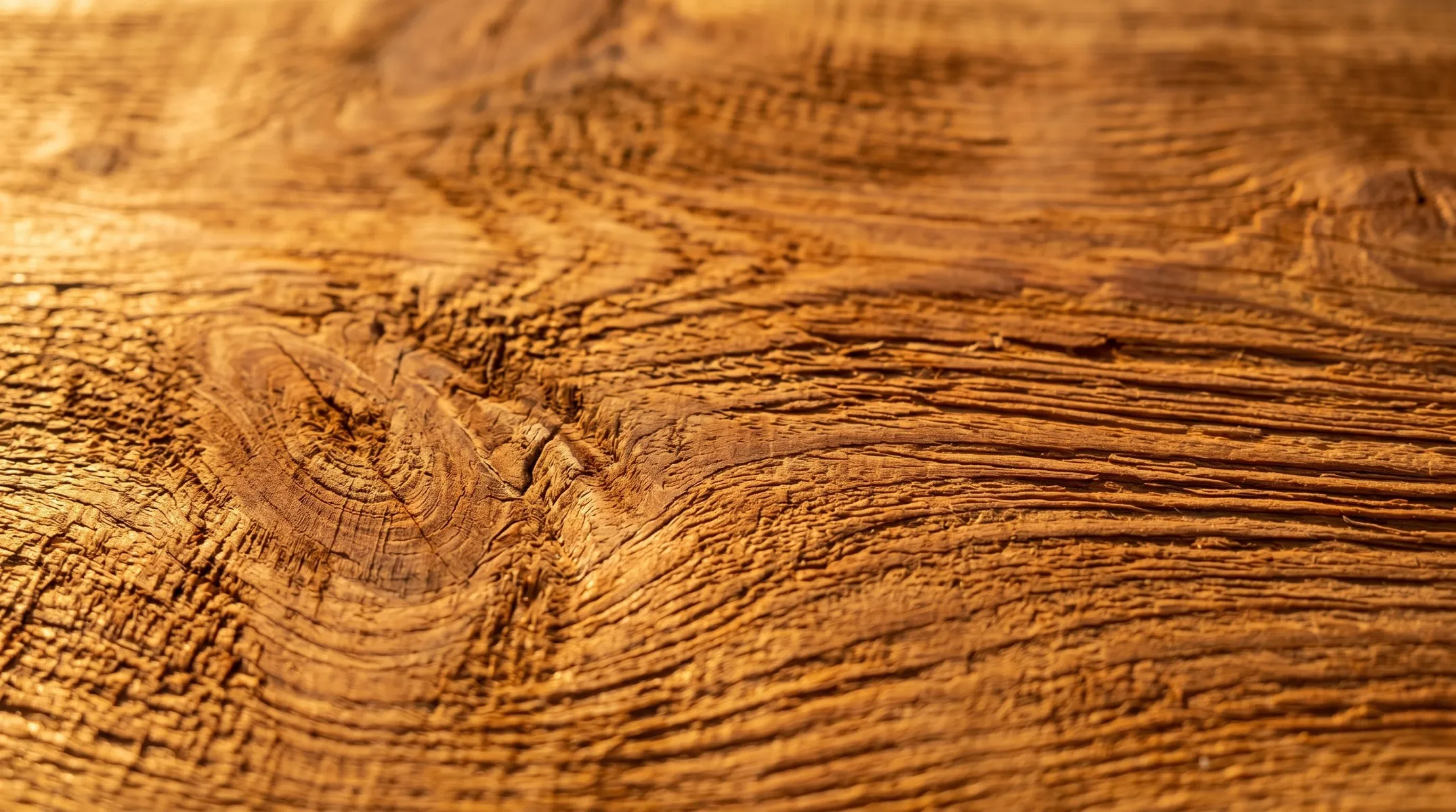 Warm cedar wood grain catching golden light